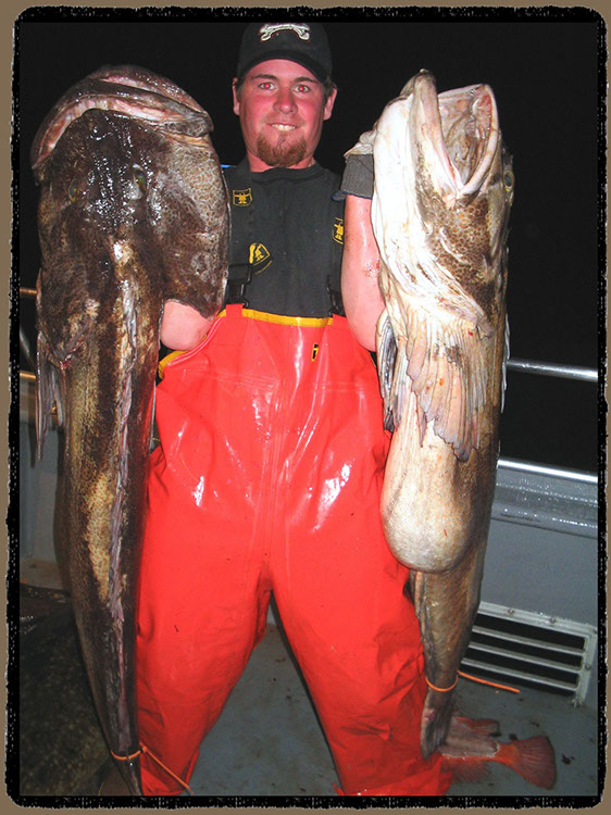 homer pro fish charter