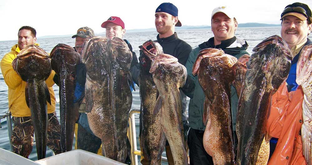 Halibut Fishing Alaska, Cod Fishing Alaska